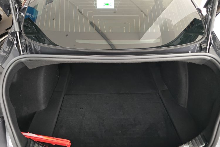 特斯拉 Model 3 2020款 标准续航后驱升级版局部细节23