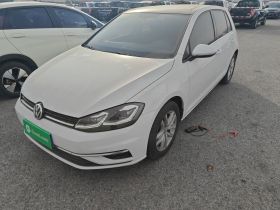 大众 高尔夫 2018款 230TSI 自动舒适型