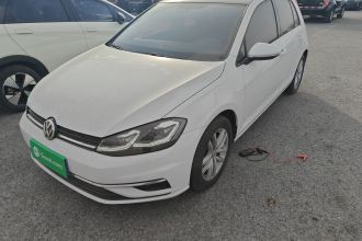 大众 高尔夫 2018款 230TSI 自动舒适型