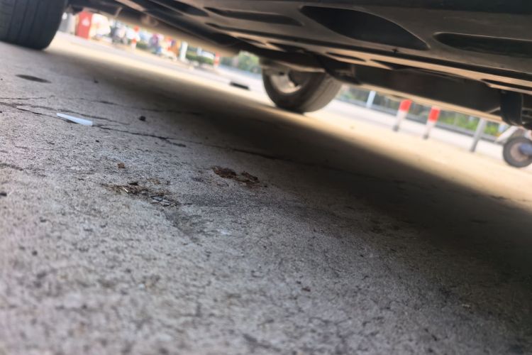 吉利汽车 缤越 2019款 运动款 260T DCT Battle 国VI局部细节9002