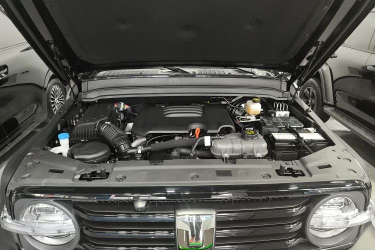 坦克300 2024款 2.0T 征服者机舱底盘24