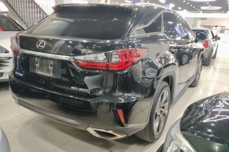 雷克萨斯RX 2020款 300 四驱典雅版 国VI车身外观7