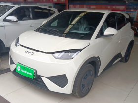 比亚迪 海鸥 2025款 305km 活力版