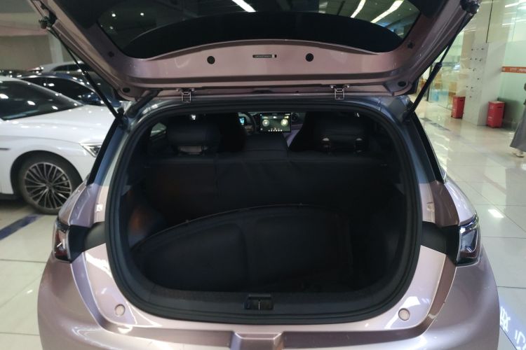 比亚迪 海豚 2021款 401km 骑士版局部细节23