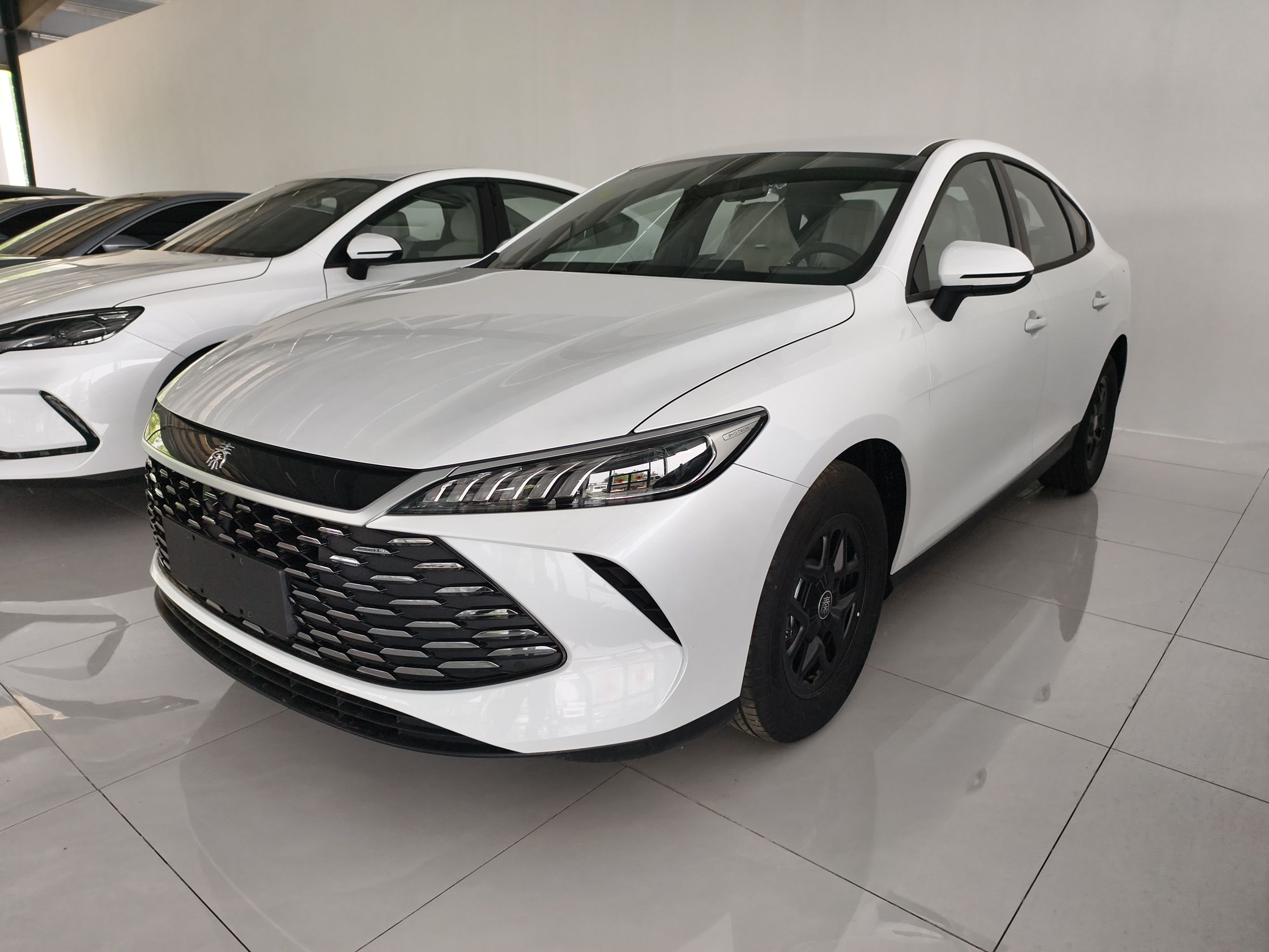 五菱汽车 五菱宏光新能源 2024款 纯电版 300KM 标准型