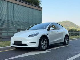 特斯拉 Model Y 2021款 长续航全轮驱动版