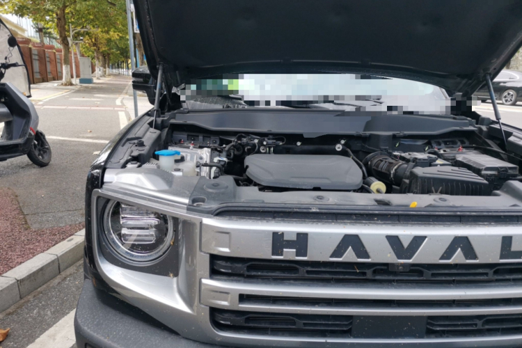 哈弗大狗 2024款 1.5T DCT边牧版局部细节9006