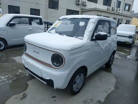 吉利银河 2024款 熊猫mini 200km 耐力熊