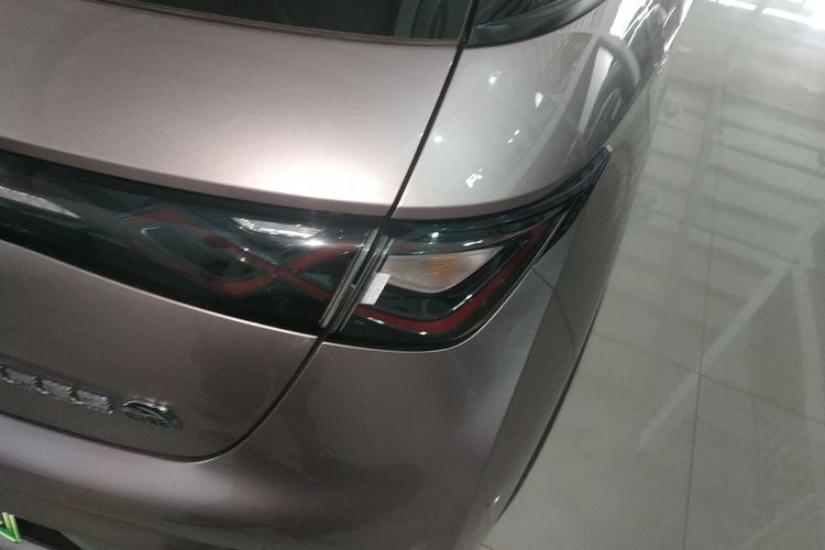 比亚迪 海豚 2021款 401km 骑士版车身外观6006