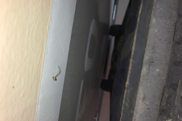 别克 昂科旗 2020款 28T 四驱Avenir艾维亚局部细节9008