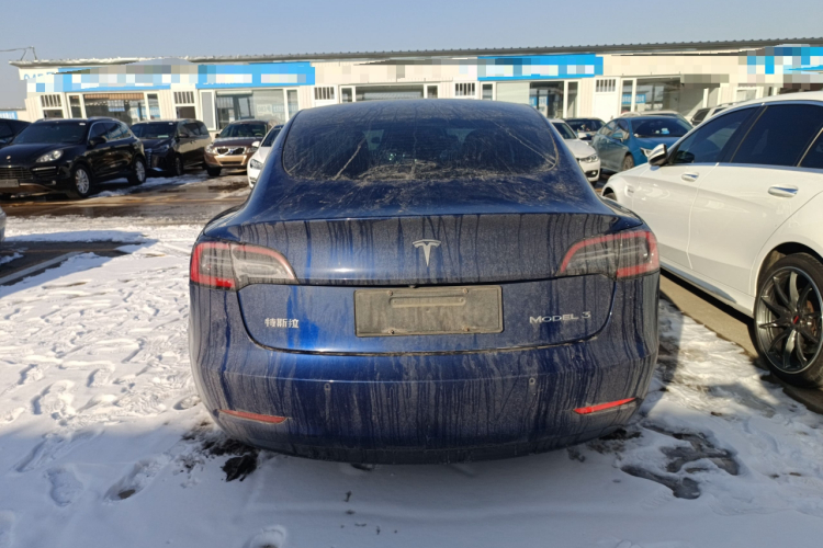 特斯拉 Model 3 2019款 标准续航后驱升级版车身外观6004