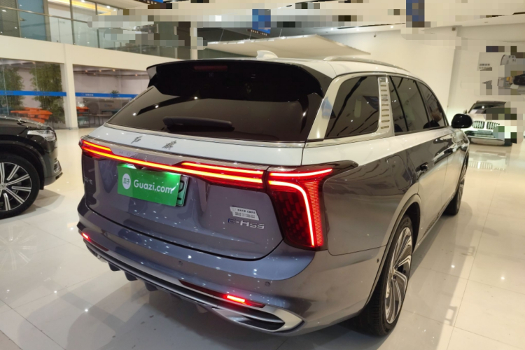 红旗E-HS9 2021款 510km 旗领版 四座车身外观7