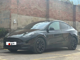 特斯拉 Model Y 2021款 长续航全轮驱动版