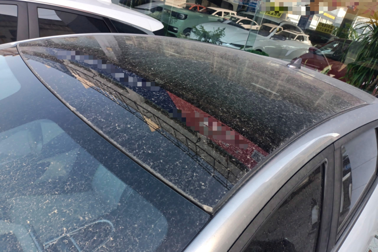 比亚迪 海豚 2021款 405km 时尚版局部细节57