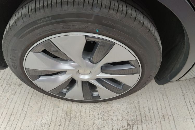 特斯拉 Model Y 2021款 标准续航后驱版车身外观6008