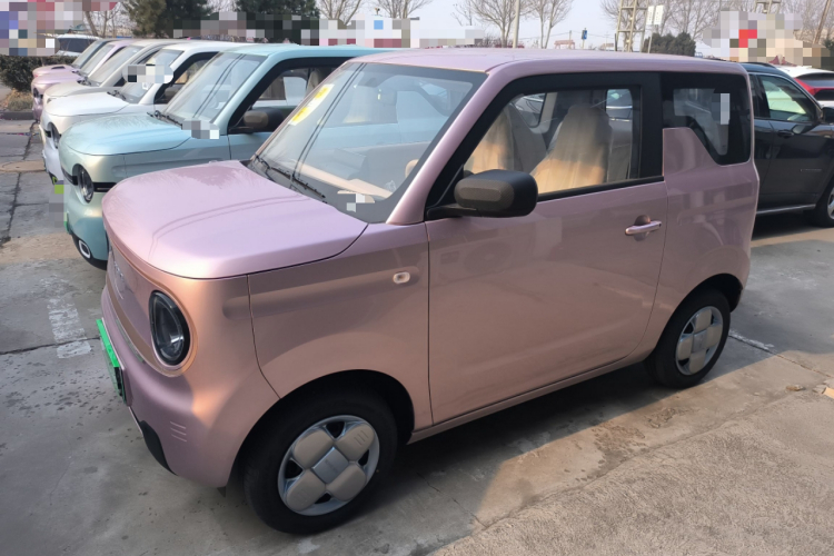 吉利银河 2024款 熊猫mini 200km 耐力熊车身外观4