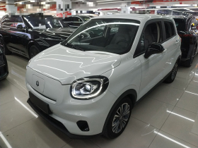 零跑汽车 零跑T03 2024款 310舒享版