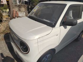 吉利银河 2024款 熊猫mini 200km 耐力熊