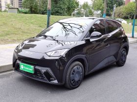 比亚迪 海鸥 2025款 305km 活力版