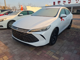 比亚迪 秦PLUS 2025款 DM-i 智驾版 55KM领先型