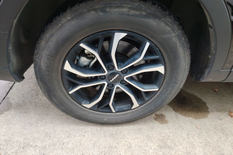 哈弗H6 2021款 国潮版 1.5T 自动都市版车身外观6007