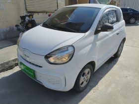 荣威 科莱威CLEVER 2021款 302km全能版