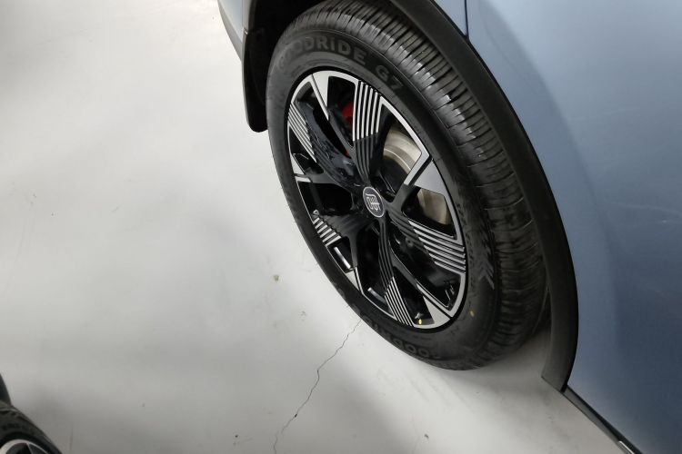 比亚迪 唐新能源 2024款 DM-p 冠军版 215KM 四驱旗舰型车身外观6008