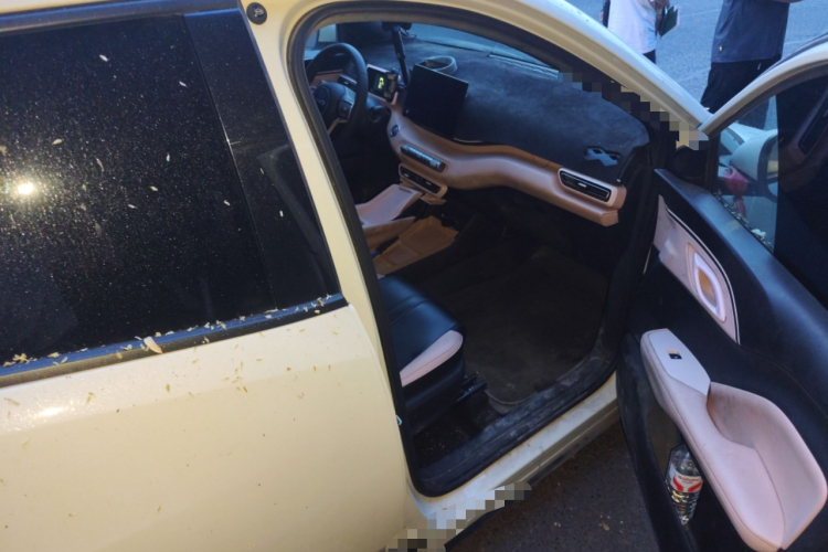 比亚迪 海鸥 2025款 305km 活力版局部细节9005