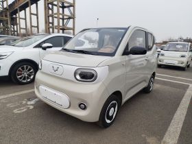 五菱汽车 宏光MINIEV 2024款 第三代 215km 青春版