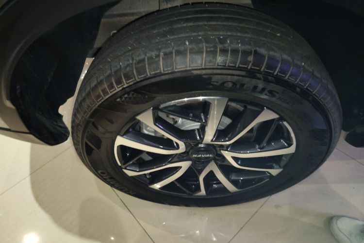 哈弗H6 2024款 1.5T 两驱经典版车身外观6008