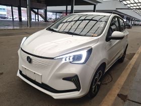 长安欧尚 奔奔E-Star 2022款 赏心版 多彩款 磷酸铁锂