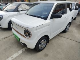 吉利银河 2024款 熊猫mini 200km 耐力熊