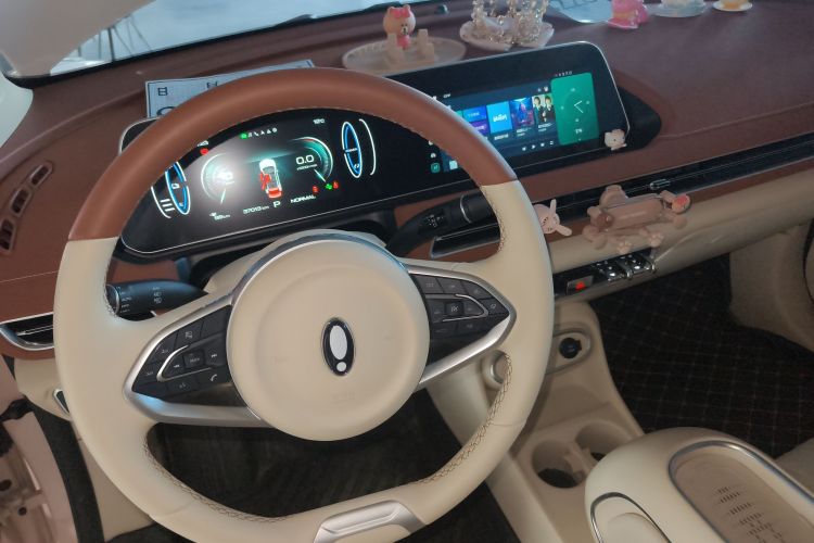 欧拉好猫 2023款 401km标准续航 豪华型 磷酸铁锂中控内饰18