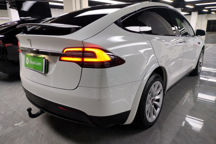 特斯拉 2017款 Model X 100D 长续航版车身外观7