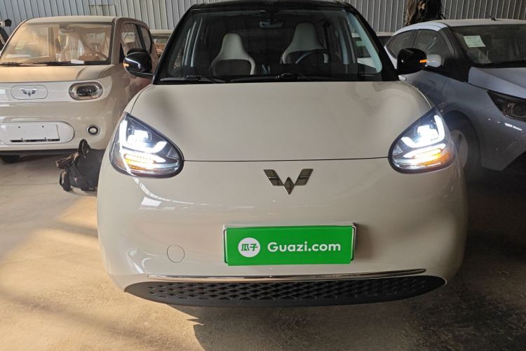 五菱汽车 五菱缤果 2024款 333km 悦享款车身外观2