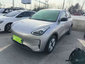 吉利银河 星愿 2025款 410km 自由版