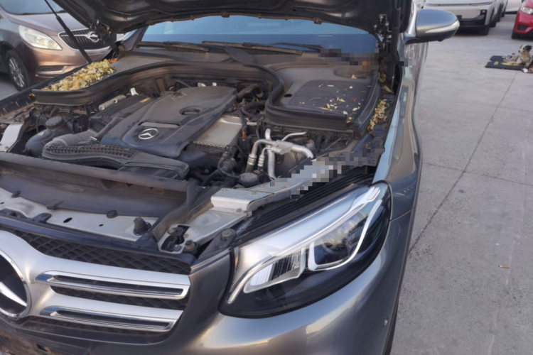 奔驰GLC 2016款 GLC 260 4MATIC 豪华型机舱底盘26