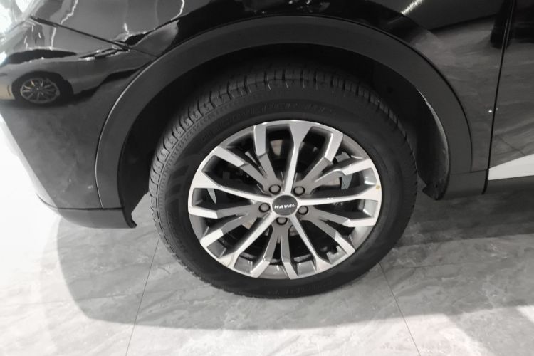 哈弗H6 2020款 1.5GDIT 自动铂金冠军版车身外观6007