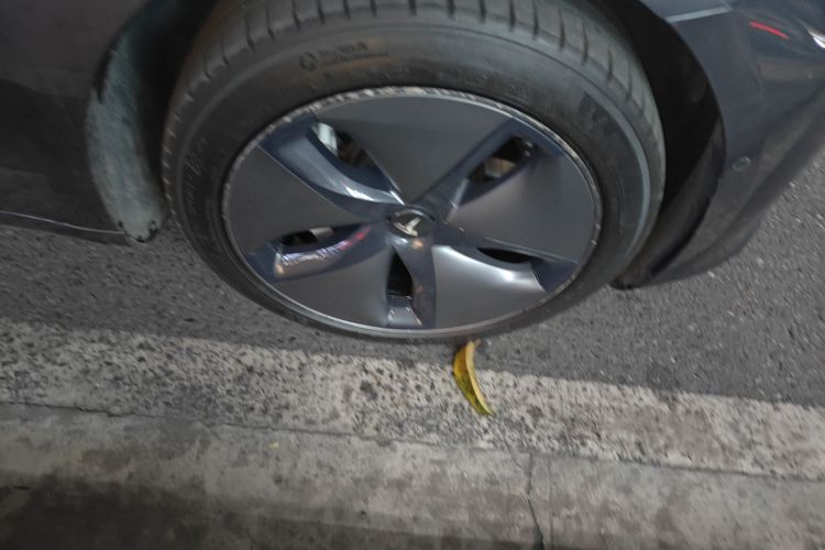 特斯拉 Model 3 2019款 标准续航后驱升级版车身外观6007