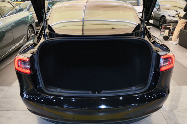 特斯拉 Model 3(进口) 2019款 长续航后驱版局部细节23