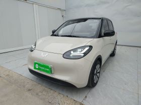 五菱汽车 五菱缤果 2023款 203km 舒享款