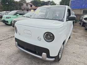 睿蓝汽车 睿蓝蓝气球 2025款 活力版