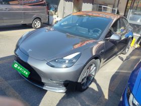 特斯拉 Model 3 2021款 Performance高性能全轮驱动版