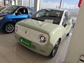 欧拉黑猫 2022款 351km 舒享型 三元锂