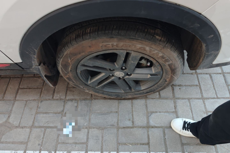 长安CS55PLUS 2021款 蓝鲸版 1.5T 手动豪华型车身外观10