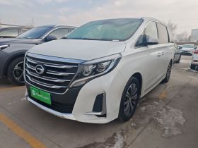 广汽传祺 传祺M8 2020款 领航款 390T 尊贵版