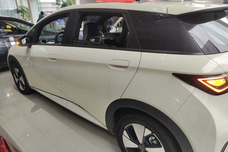 比亚迪 海豚 2023款 420km 时尚版车身外观6003