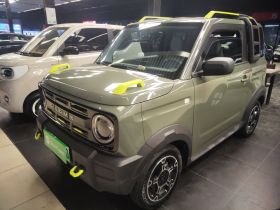 吉利银河 2025款 210km 熊猫骑士