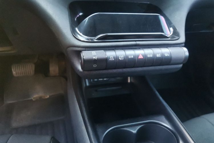 比亚迪 海豚 2021款 401km 骑士版局部细节18