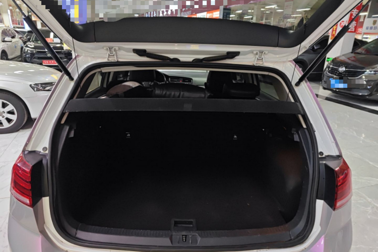 大众 高尔夫 2018款 230TSI 自动舒适型机舱底盘23